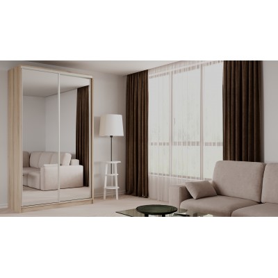 Шкаф-купе Elgon EEX 01  (Дуб элисон/Хром)  фабрика Рэйгрупп