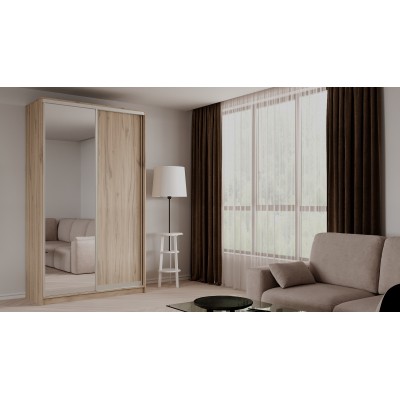 Шкаф-купе Elgon EEX 02  (Дуб элисон/Хром)  фабрика Рэйгрупп