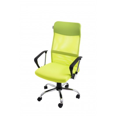 Офисное кресло Calviano Xenos II green